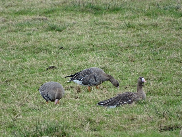 了培养学生 了培养学生