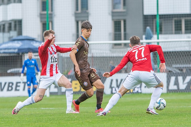 起的明星 起的明星