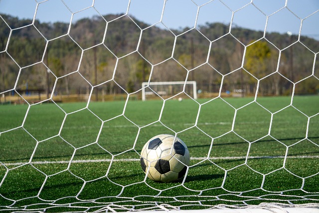 意想不到的 意想不到的