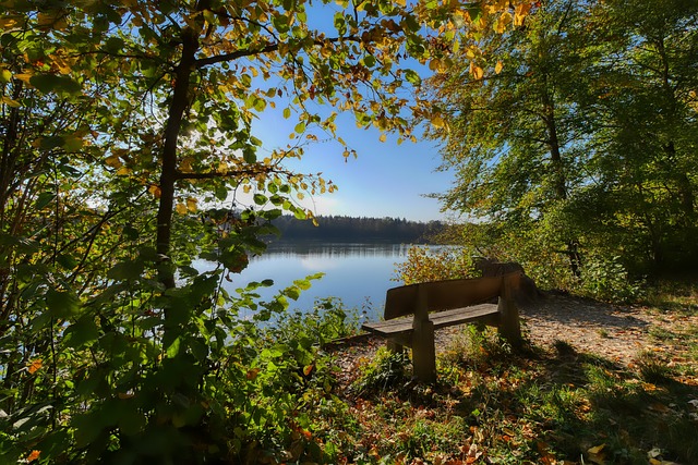 待的好戏 待的好戏