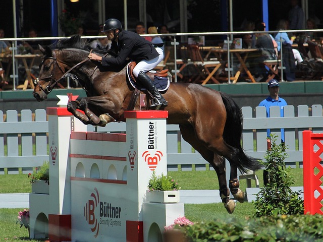 核心之一 核心之一