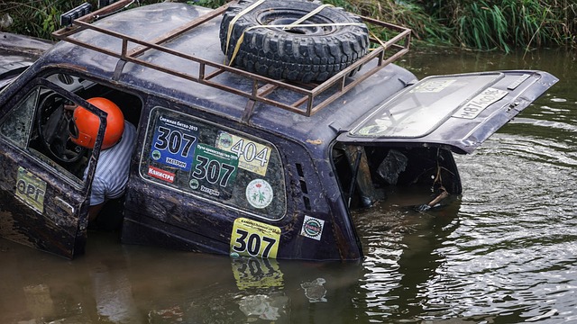 将进一步加 将进一步加